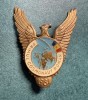 Insigna Primul Cosmonaut Roman varianta aurie 1981