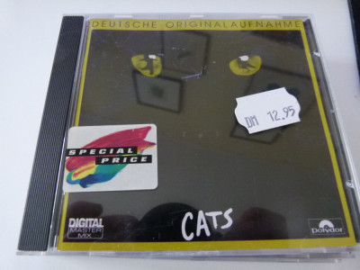 Cats -1198 foto