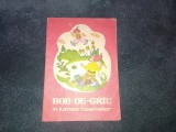 CORNELIA DANET - BOB DE GRAU IN LUMEA BASMELOR