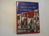 TRISTA ISTORIE A PREERIEI (autograf si dedicatie) - ADRIAN-SILVAN IONESCU