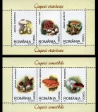 2003 - Ciuperci, blocuri neuzate