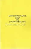 Cumpara ieftin Caiet Lucrari Practice Morfopatologie - Otilia Cotofan (1985, Iasi) - Medicina, 259 pagini