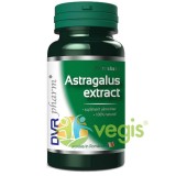 Astragalus Extract 60cps