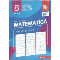 Algebra, geometrie. Clasa a VIII-a (partea I) - Anton Negrila, Maria Negrila