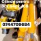 Cilindri Planetare Cardane pentru JCB