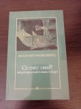 Wolfhart Pannenberg - Ce este omul? Antropologia actuala in lumina teologiei