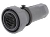 Conector circular mamă BULGIN 32 pini IP68, 3A, 200V, material PBT, montare cablu baioneta