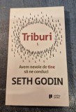 Triburi avem nevoie de tine sa ne conduci Seth Godin