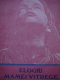 Elogiu mamei vitrege - Mario Vargas Llosa