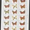 Poland 1991 Butterflies x 3 sets - 1 sheet fold MNH DC.008