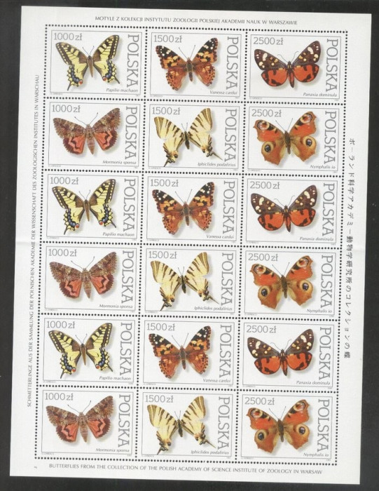 Poland 1991 Butterflies x 3 sets - 1 sheet fold MNH DC.008