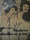 Adunarea nationala de la Blaj - Victor Cherestesiu