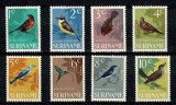 Suriname 1966 - Păsări, fauna, serie neuzata