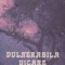 Vulnerabila uitare