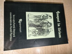 Inapoi la lirism - Raspunsuri la o ancheta literara coordonata de Aurel Pantea