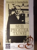 Sub Pecetea Tainei - Mateiu I. Caragiale - Editura Echinox, 1994 - Beletristica, Biografii - Anticariat