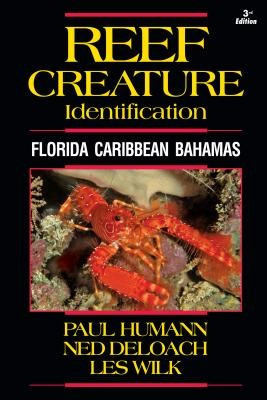 Reef Creature Identification: Florida Caribbean Bahamas foto