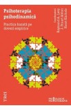 Psihoterapia psihodinamica. Practica bazata pe dovezi empirice - Raymond A. Levy, J. Stuart Ablon, Horst Kachele