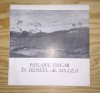 PEISAJUL UNGAR IN SECOLUL AL XIX-LEA - 1977 - BUCURESTI - MUZEUL DE ARTA