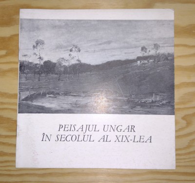 PEISAJUL UNGAR IN SECOLUL AL XIX-LEA - 1977 - BUCURESTI - MUZEUL DE ARTA foto