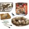 Oua Dino Mega Set 12 oua cu fosile