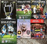 Lot Nationala Romaniei CS Mioveni Chindia Targoviste Cupa Romaniei Revista LPF Rapid Bucuresti