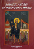 SFANTUL ANDREI CEL NEBUN PENTRU HRISTOS-COLECTIV-262423