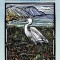Molly Hashimoto&#039;s Birds: Coloring Books