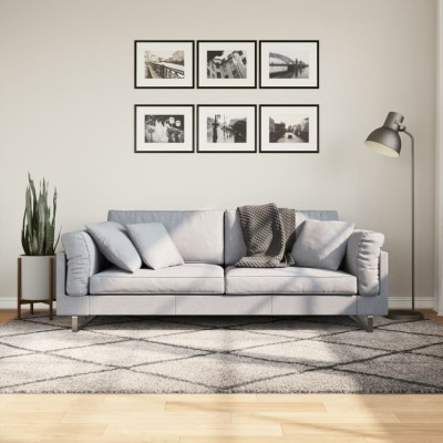 Covor pufos &amp;quot;PAMPLONA&amp;quot; cu fire &amp;icirc;nalte, bej/antracit, 160x230 cm foto