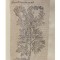 Colecție cu 20 de gravuri botanica, legată &icirc;ntr-un singur volum - secolul XVI