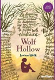 Wolf Hollow - Lauren Wolk
