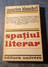 Spatiul luterar Maurice Blanchot