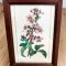 Tablou matase - decorativ / de colectie - Flori