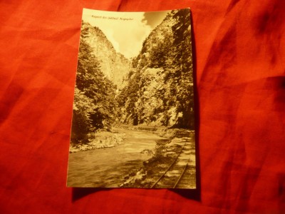 Ilustrata Defileul Argesului , anii &amp;#039;60 foto