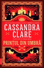 Prințul din Umbră (primul volum al seriei Cronicile din Castellane)