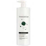 Sampon cu mentol racoritor, Stimulator Biomint Innovative Rueber 1000ml