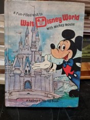 A Fan Filled Visit Walt Disney world with Mickey Mouse