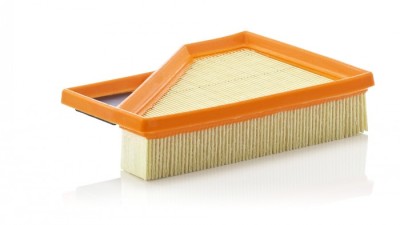 Filtru aer Mann-Filter C2245 foto
