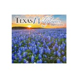 Texas Wildflowers Impressions
