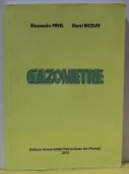 GAZOMETRE de ALECSANDRU PAVEL si VIOREL NICOLAE , 2010