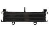 Radiator pentru YAMAHA XJR 1300 1999-2003