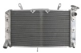 Radiator - Yamaha - FZ1/FZ8 800/1000 - 2006-2015
