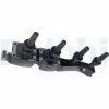 DELPHI GN10319-12B1 bobina de inductie