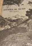 CETATEA DE MUNTI GEORGE VALSAN