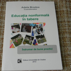 Adela Bradea - Educatia nonformala in tabere Indrumar de bune practici