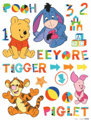 Sticker Winnie the Pooh si Prietenii in copilarie- 65x85cm - DK892 foto