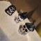 Crani decorative - 3