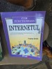Cum Functioneaza Internetul - Preston Gralla, Explicatie Detaliata Tehnologii, Carte IT Educationala 2003