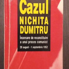 CAZUL NICHITA DUMITRU - RECONSTITUIREA UNUI PROCES COMUNIST - DOINA JELA