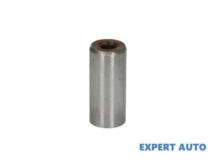 Bolt fixare intinzator transmisie Audi A4 CABRIOLET (2005-2008) [8H ,B7 ]